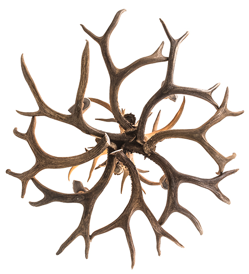  RUSTIC LODGE RUSTIC OR MOUNTIAN GREAT ROOM ANIMALS