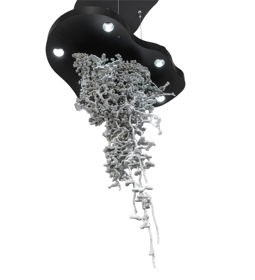  INSECTS DOWN LIGHTS SPOT LIGHT POINTING DOWN FOR FUNCTION Asymmetrical