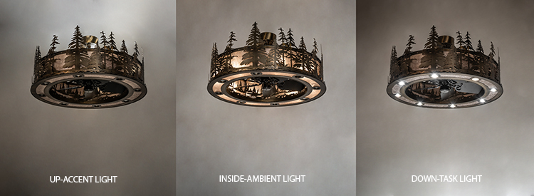  RUSTIC LODGE RUSTIC OR MOUNTIAN GREAT ROOM DOWN LIGHTS SPOT LIGHT POINTING DOWN FOR FUNCTION