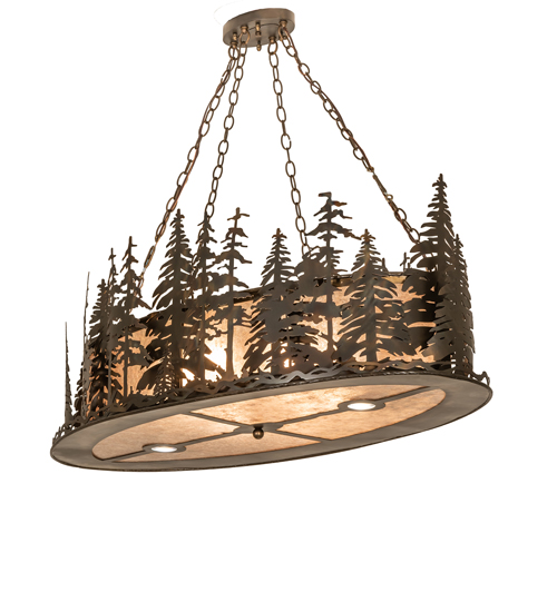  RUSTIC LODGE RUSTIC OR MOUNTIAN GREAT ROOM DOWN LIGHTS SPOT LIGHT POINTING DOWN FOR FUNCTION