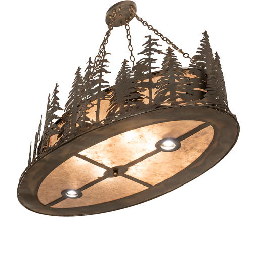  RUSTIC LODGE RUSTIC OR MOUNTIAN GREAT ROOM DOWN LIGHTS SPOT LIGHT POINTING DOWN FOR FUNCTION