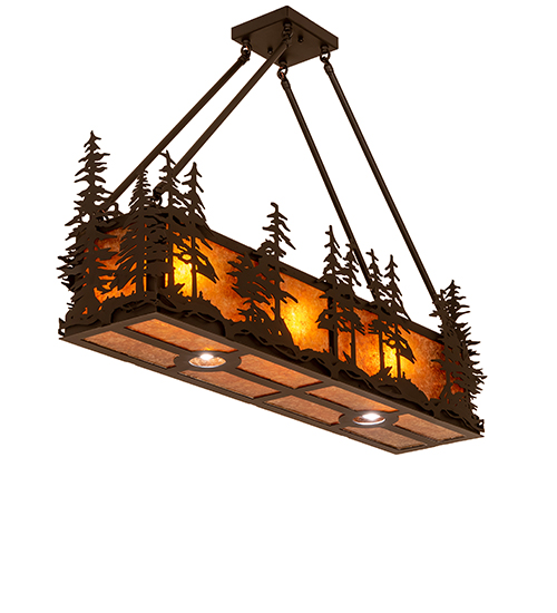  RUSTIC LODGE RUSTIC OR MOUNTIAN GREAT ROOM DOWN LIGHTS SPOT LIGHT POINTING DOWN FOR FUNCTION