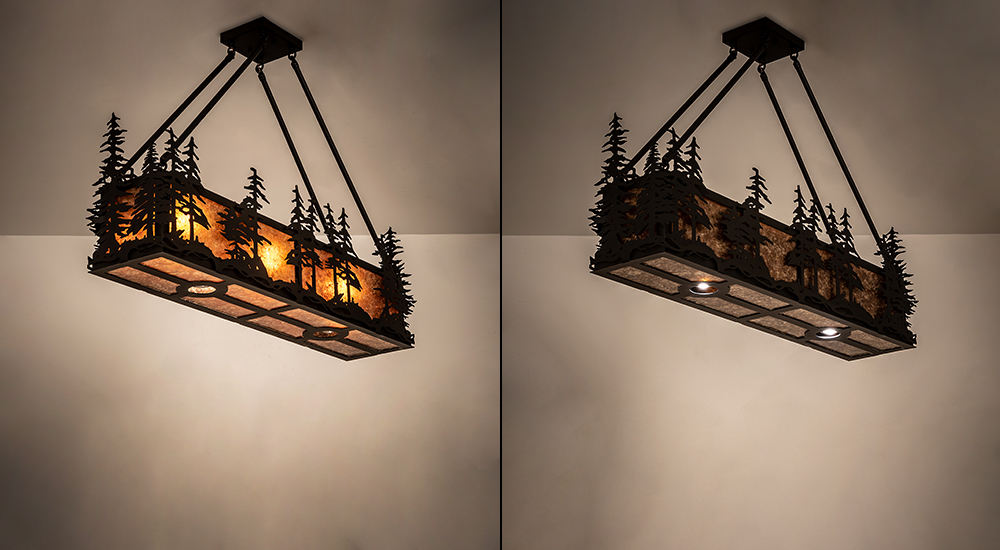  RUSTIC LODGE RUSTIC OR MOUNTIAN GREAT ROOM DOWN LIGHTS SPOT LIGHT POINTING DOWN FOR FUNCTION