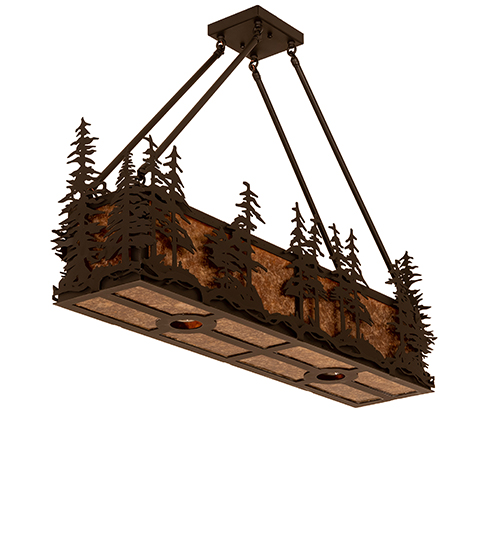  RUSTIC LODGE RUSTIC OR MOUNTIAN GREAT ROOM DOWN LIGHTS SPOT LIGHT POINTING DOWN FOR FUNCTION