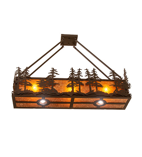  RUSTIC LODGE RUSTIC OR MOUNTIAN GREAT ROOM DOWN LIGHTS SPOT LIGHT POINTING DOWN FOR FUNCTION