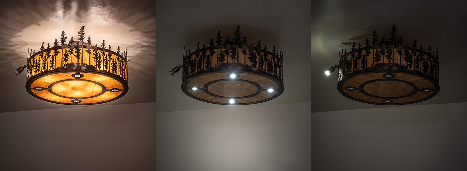  RUSTIC LODGE RUSTIC OR MOUNTIAN GREAT ROOM IDALIGHT DOWN LIGHTS SPOT LIGHT POINTING DOWN FOR FUNCTION