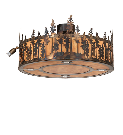  RUSTIC LODGE RUSTIC OR MOUNTIAN GREAT ROOM ACRYLIC DOWN LIGHTS SPOT LIGHT POINTING DOWN FOR FUNCTION