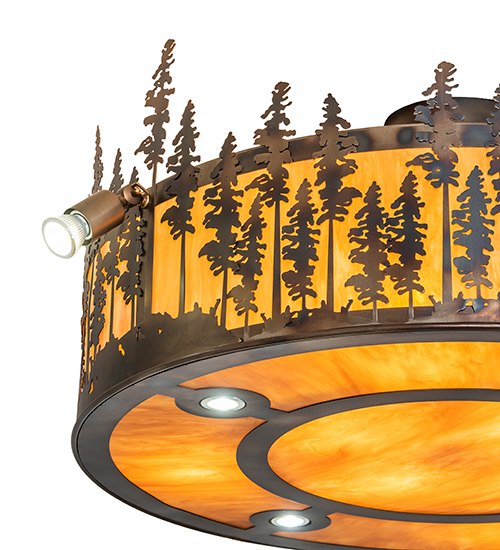  RUSTIC LODGE RUSTIC OR MOUNTIAN GREAT ROOM ACRYLIC DOWN LIGHTS SPOT LIGHT POINTING DOWN FOR FUNCTION