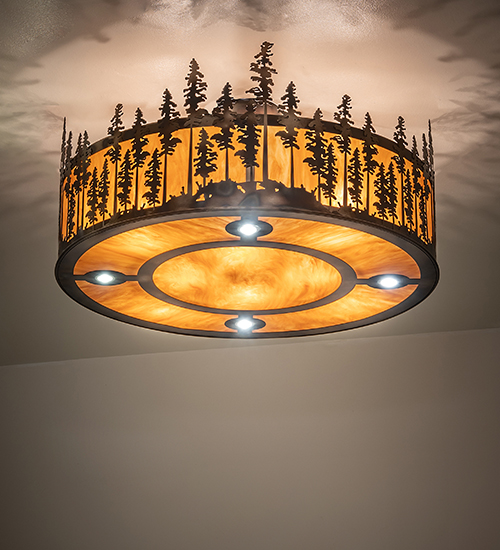  RUSTIC LODGE RUSTIC OR MOUNTIAN GREAT ROOM IDALIGHT DOWN LIGHTS SPOT LIGHT POINTING DOWN FOR FUNCTION